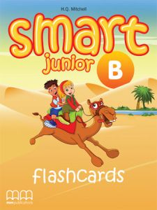 SMART JUNIOR B (4) - FLASHCARDS (INCLUDES SMART JUNIOR B, TIME FLASH B, ZOOM B, ZOOM IN)