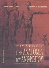 Εισαγωγή στην ανατομία του ανθρώπου