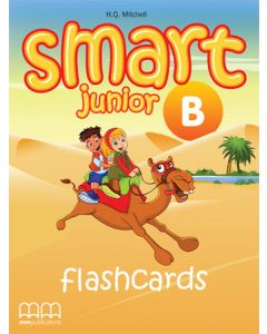 SMART JUNIOR B (4) - FLASHCARDS (INCLUDES SMART JUNIOR B, TIME FLASH B, ZOOM B, ZOOM IN)