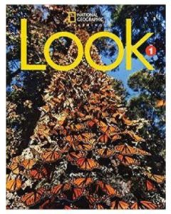 Look Level 1 BrE Workbook