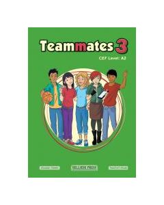 TEAMMATES 3 TEACHER'S BOOK